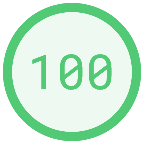 PageSpeed Insights Score of 100