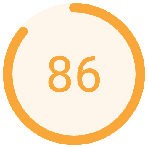 PageSpeed Insights Score of 86